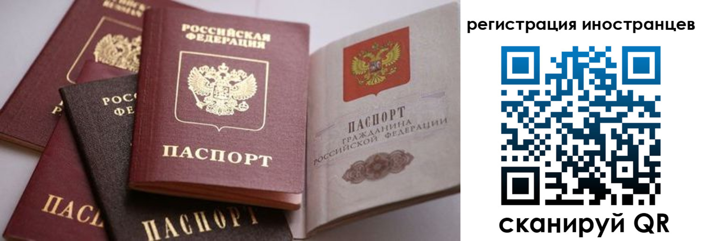 прописка штамп в Смоленской области
