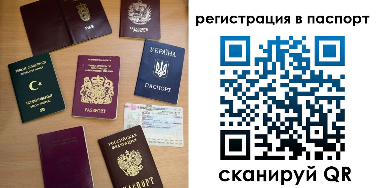 прописка поиск в Смоленской области